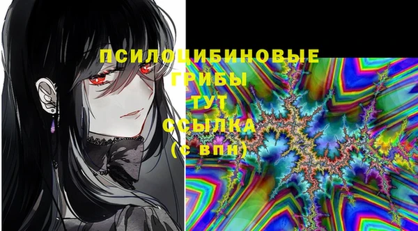 индика Мещовск