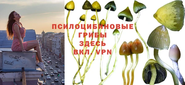 таблы Пролетарск