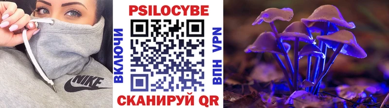Галлюциногенные грибы Psilocybe  omg вход  Северо-Курильск  цена наркотик 